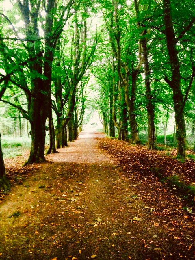 Woodleigh Lodge Gorey Eksteriør bilde
